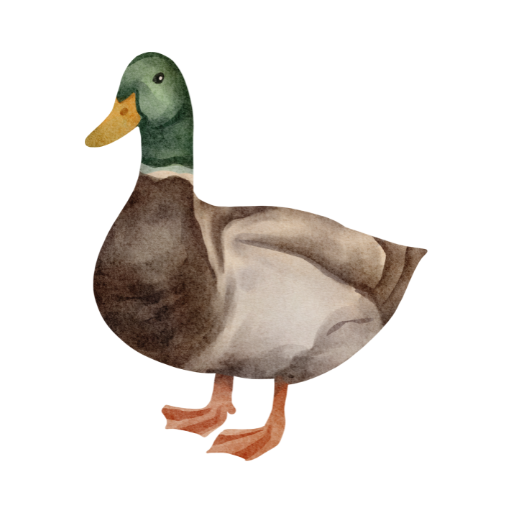 pristinevalleyduckfarm